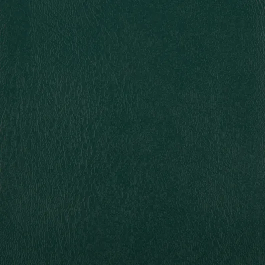 bisonAF