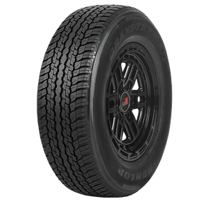 Dunlop Grandtrek AT31
