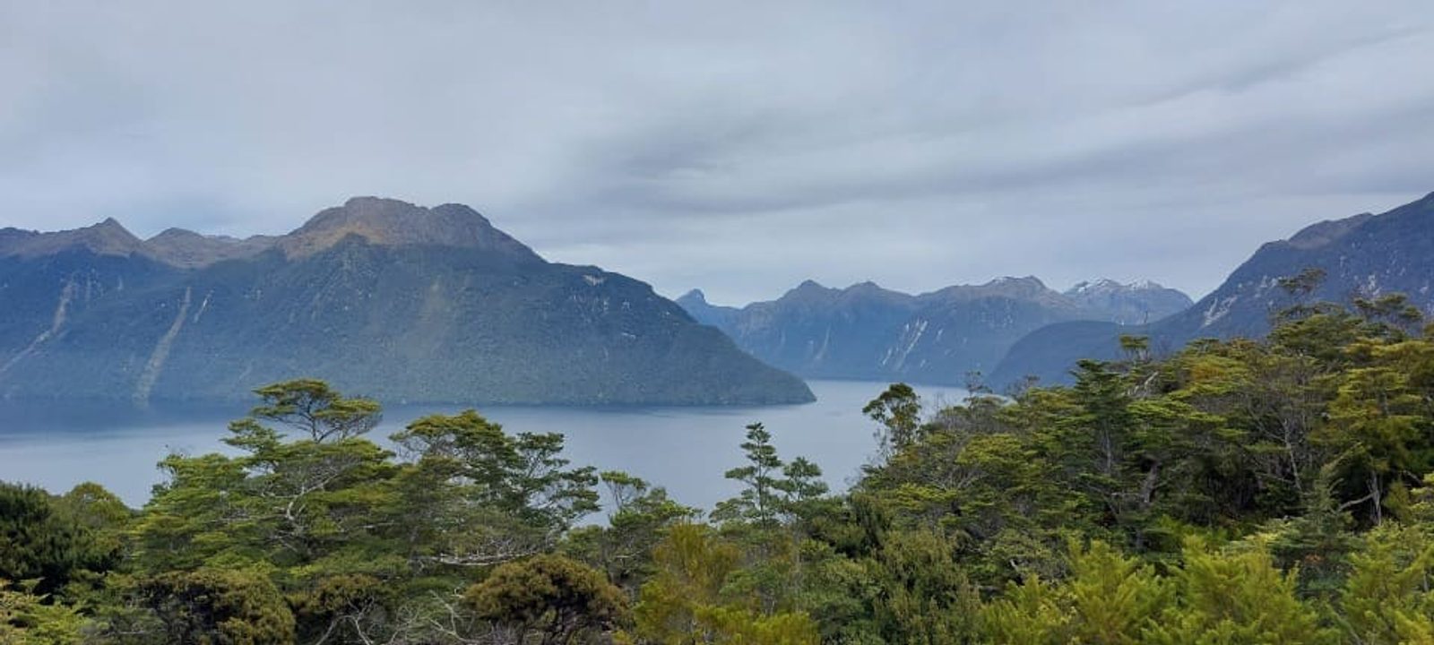 Island Biosecurity Pamona Island credit Em Oyston DOC