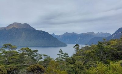 Automated Island Biosecurity System