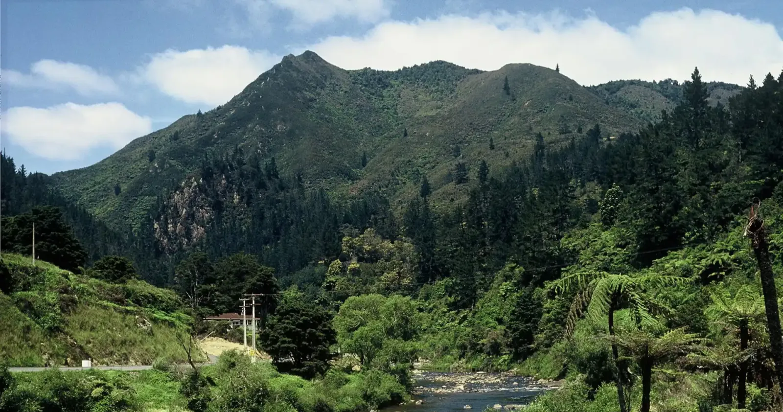 Ohinemuri river