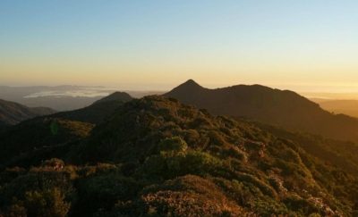 Mount Pirongia Goat Eradication
