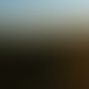 Pirongia Forest Park Summit View  O