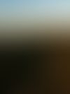 Pirongia Forest Park Summit View  O