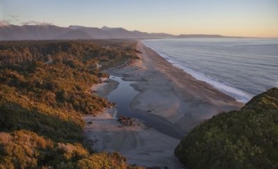 Predator-Free South Westland