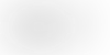 logo nznf 