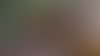 AdobeStock  