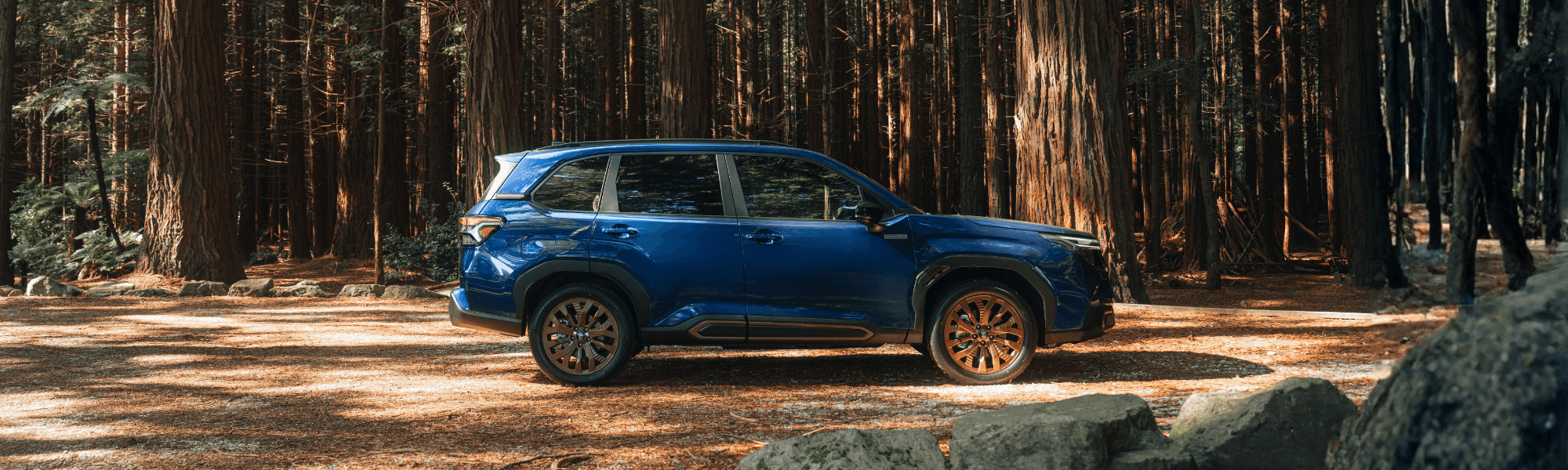 1/3 1/3 1/3 0% Interest On Forester!