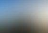GWM H