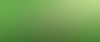 WP Header e