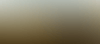 Wordpress header image e